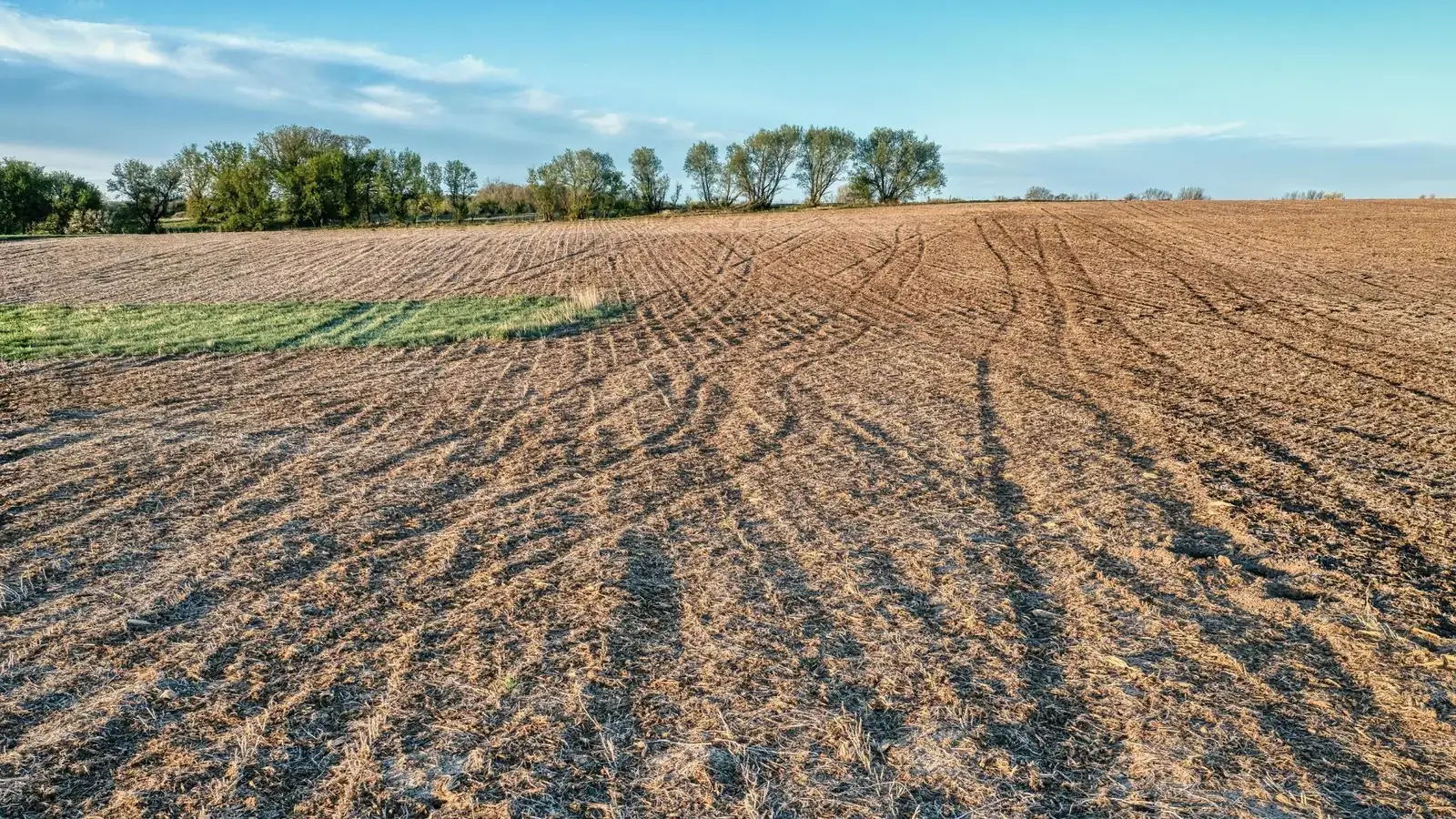 Lot Clearing in Morganton NC