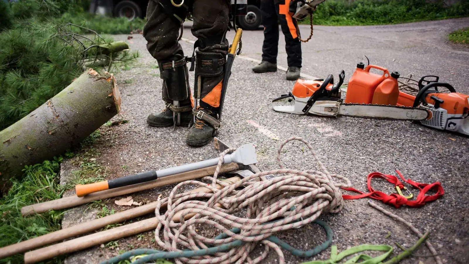 Customer avatar photo