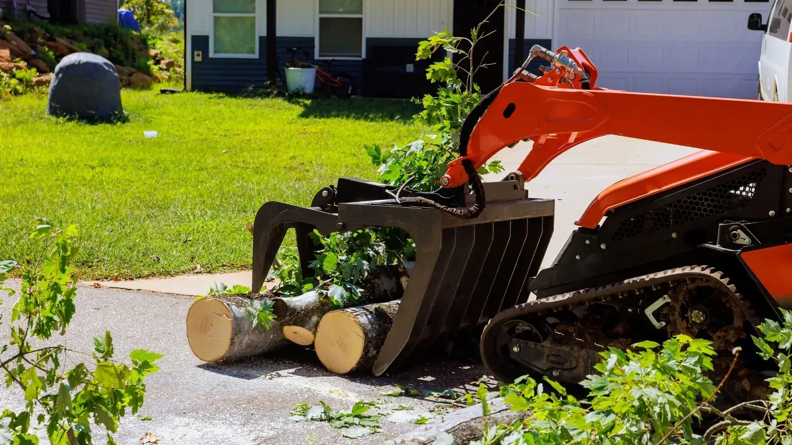 Tree Trimming in Morganton NC