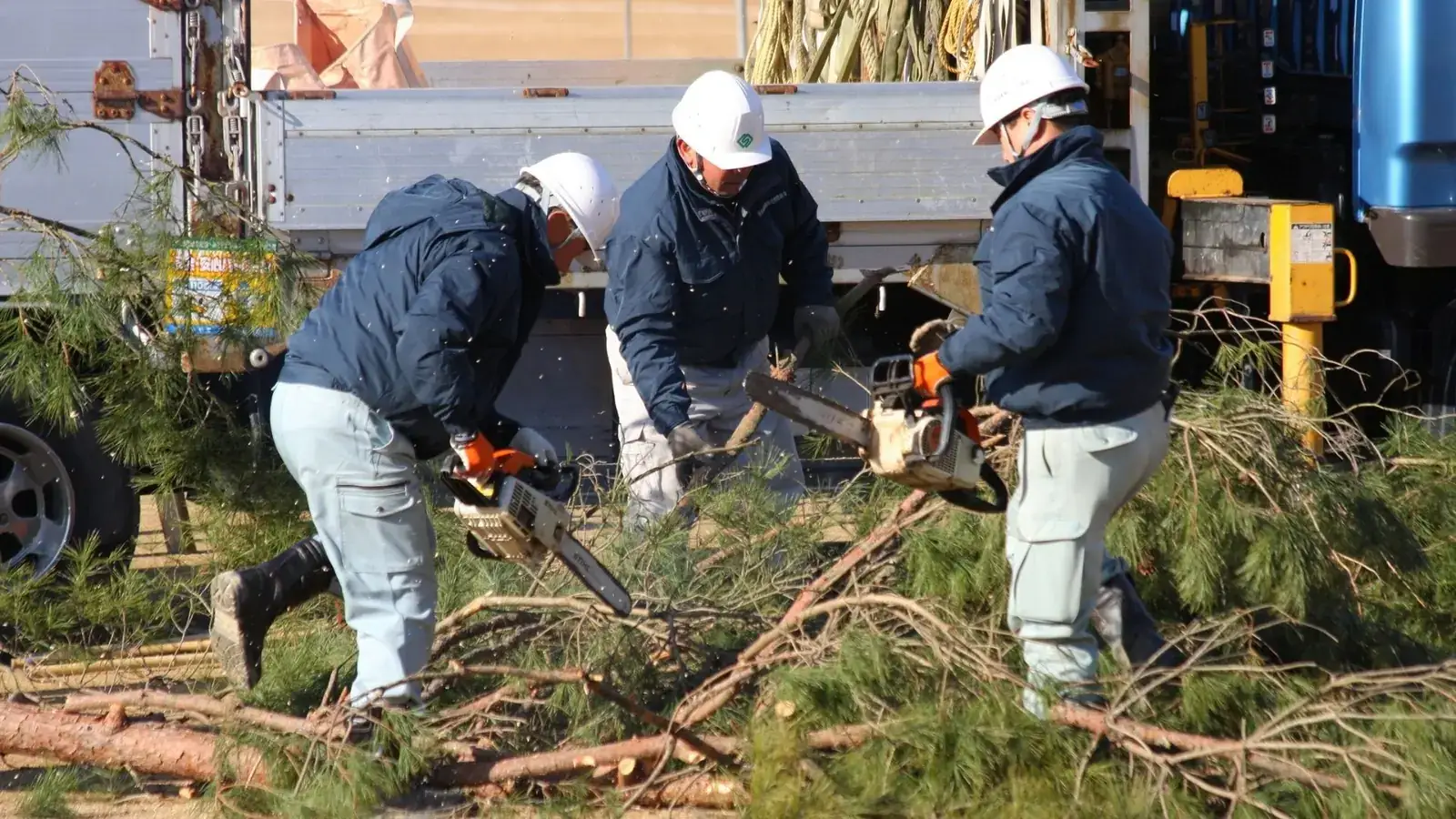 Stump Grinding in Morganton NC