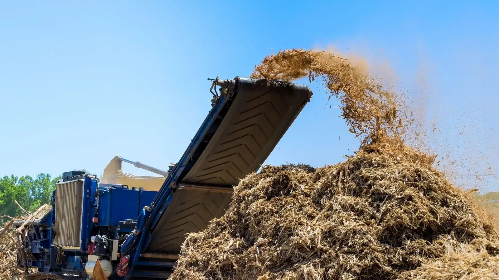 Forestry Mulching in Morganton NC