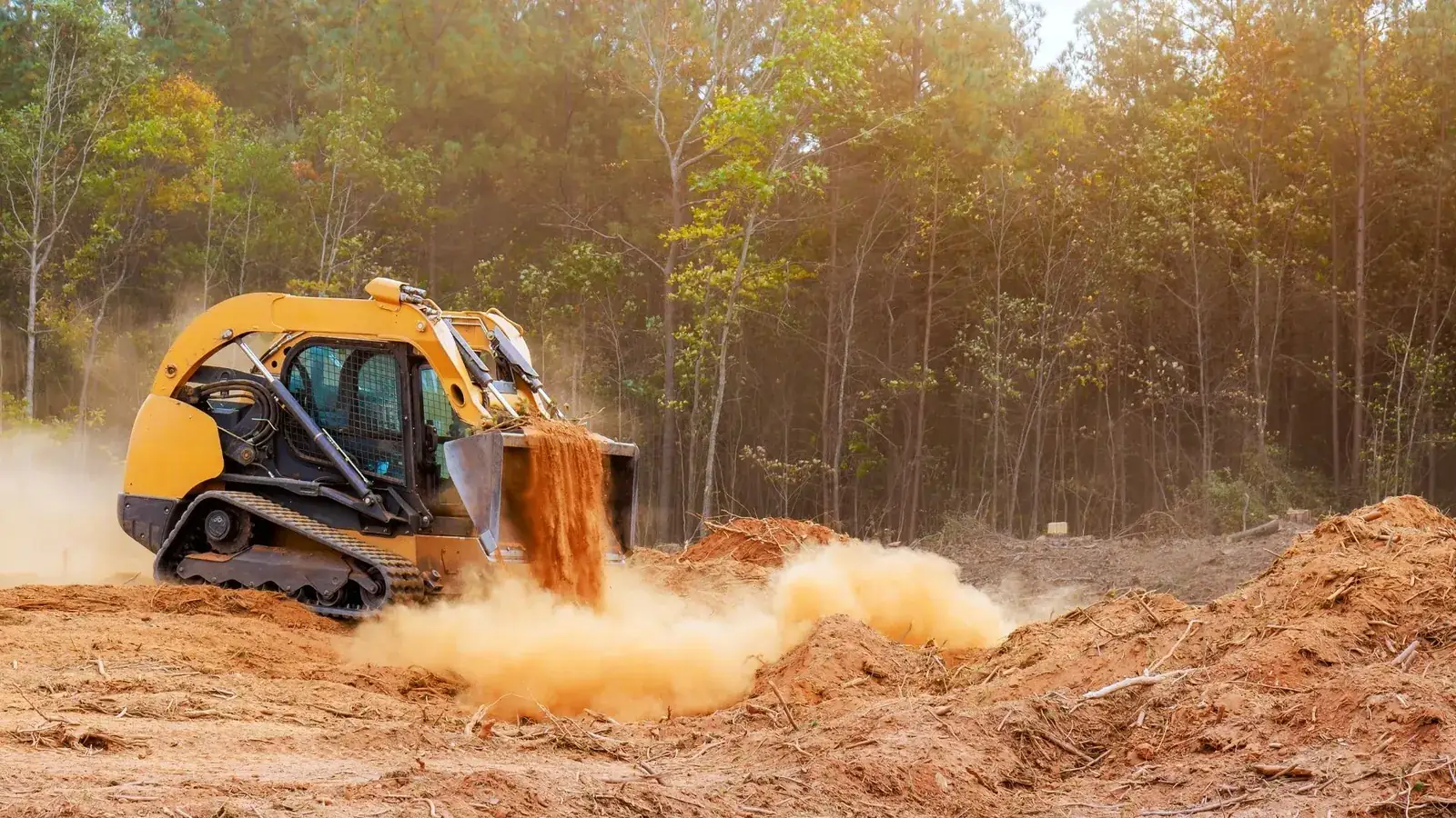 Forestry Mulching project photo